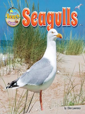 cover image of Seagulls